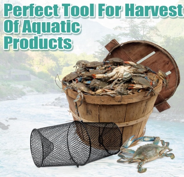Piège à écrevisses en métal, p - Fishing Equipment Market avis et prix
