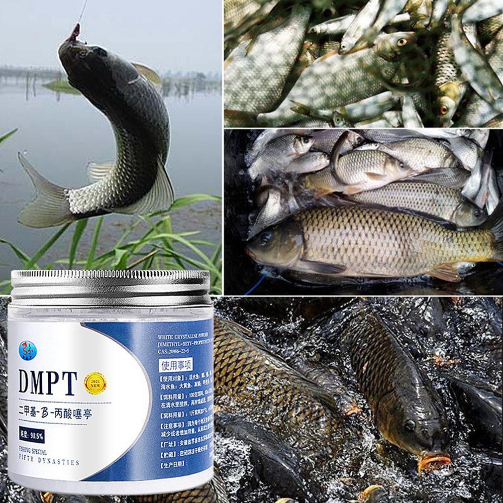 50g réel DMPT haute pureté app - Fishing Equipment Market avis et prix